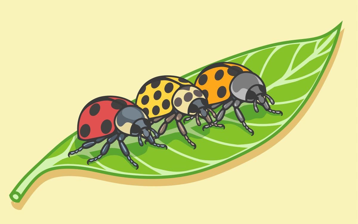 Cursor 3 Challenges Claude Code with New Agentic Debugging Features